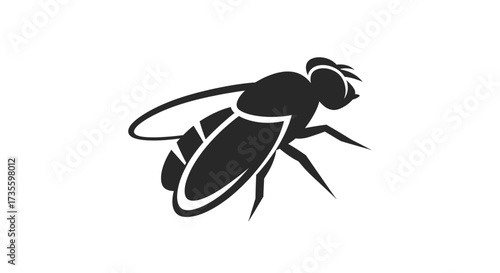 A black silhouette of a fly with detailed wings and legs, isolated on a white background.