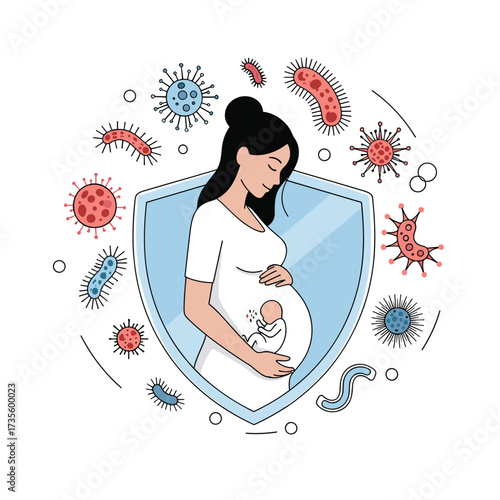 Protecting the mother and baby from harmful microorganisms during pregnancy.