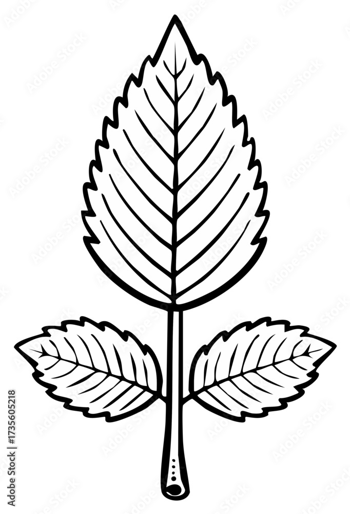 Obraz premium Stylized botanical illustration of a three leaf sprig in black and white line art