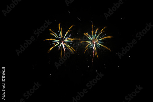 Fireworks in the night sky