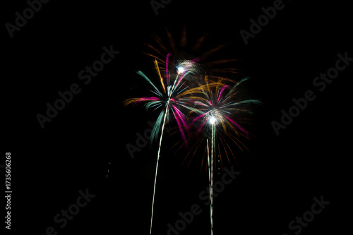 Fireworks in the night sky