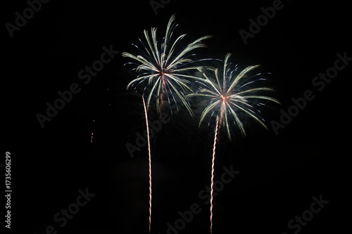 Fireworks in the night sky