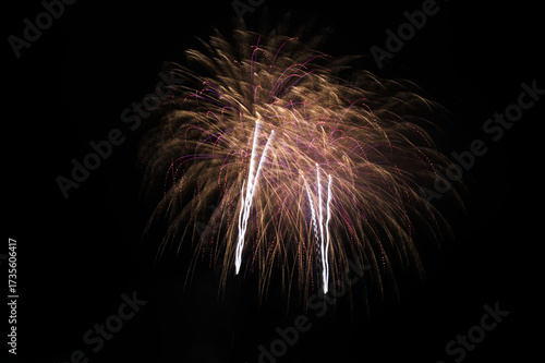 Fireworks in the night sky