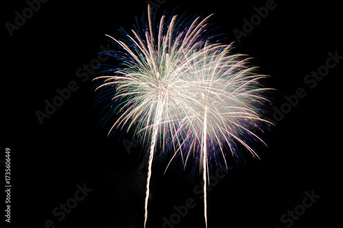 Fireworks in the night sky