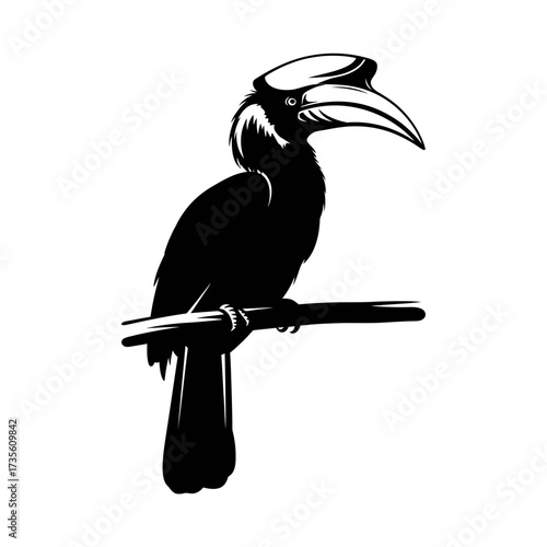 Tropical Hornbill Bird Perched on Branch Vector Silhouette


