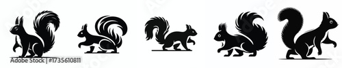 vector black and white silhouette of a squirrel