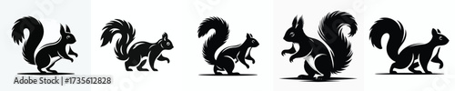 vector black and white silhouette of a squirrel