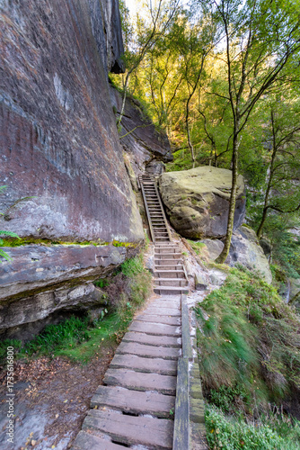 Quadro su tela Wooden staircase carved into sandstone rock in Saxon Switzerland National Park,