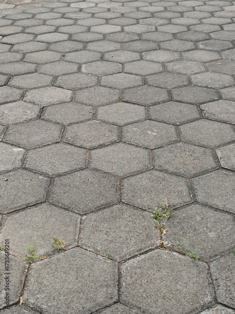 Obraz premium Weathered grey hexagonal paving stones form a durable, interlocking geometric pattern on the ground, with subtle green grass emerging from the seams.