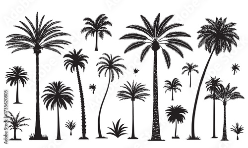 A collection of palm tree silhouettes in solid black. Includes various tropical palm shapes such as coconut palms, date palms, and decorative short palms. Isolated on a white background, minimal flat 