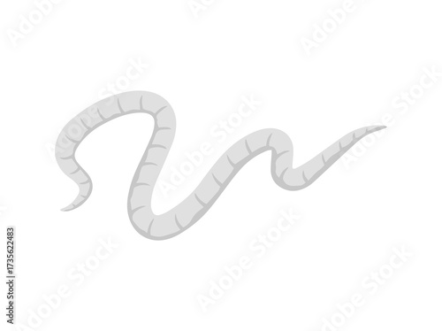 Worm Pinworm Clip Art Illustration
