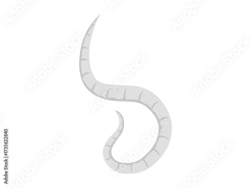 Pinworm Parasite Clip Art Illustration