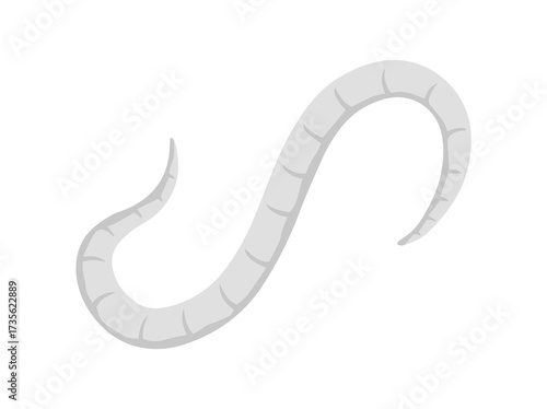 Pinworm Parasite Clip Art Illustration