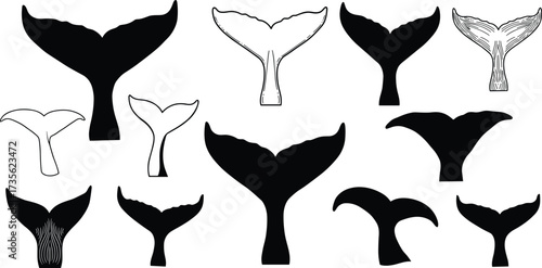 Whale tail silhouettes and outlines collection, marine life icons, dolphin fin symbols, ocean water animal vector illustrations