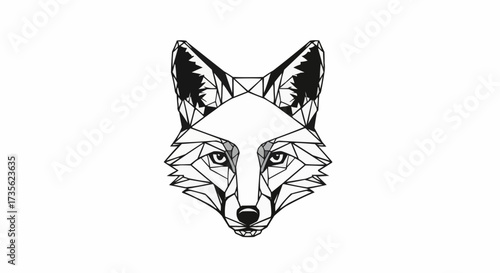 wolf head vector illustration