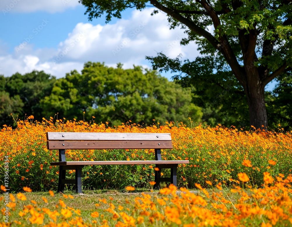 Naklejka premium Peaceful park bench in a vibrant cosmos field
