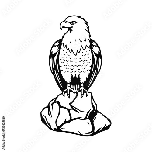 Eagle bird illustration, eagle vector drawing, wild eagle art, eagle sketch on a rock