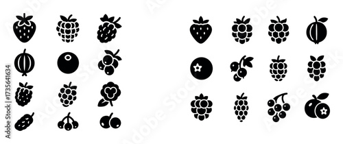 Berry Icon Grid