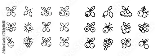 Minimalist Fruit Icons