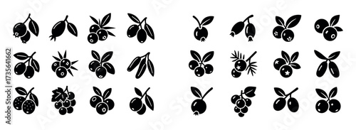 Wildfruit Isometric Icons