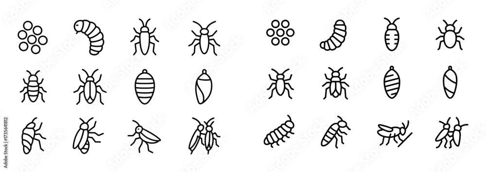 Fototapeta premium Insect Life Stages Icons