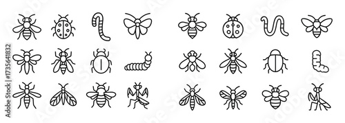 Insect Icon Collection