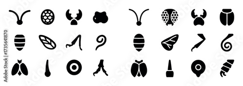 Insect Anatomy Icons