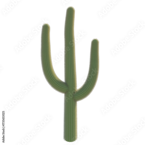 Cactus isolated transparent background 3d rendering
