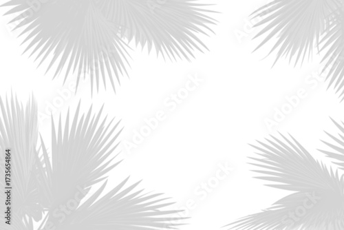 Wallpaper Mural Realistic shadow overlay effect. Natural palm leaf shadows isolated on transparent background. Tropical coconut branch shade, foliage silhouette decoration. Design element for summer spring projects Torontodigital.ca
