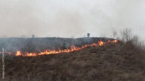 Dry grass burns during drought weather. Natural disaster.