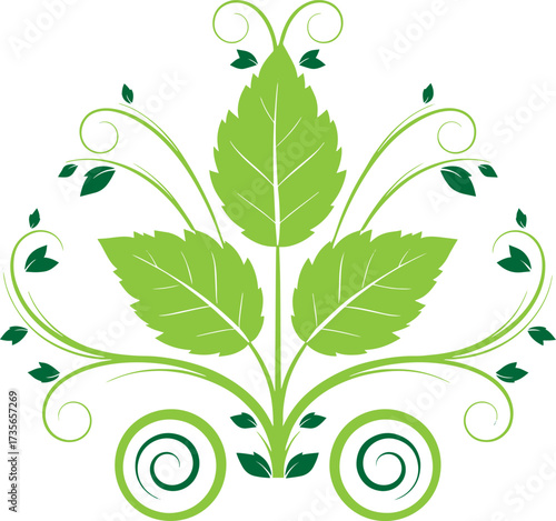 Elegant green floral swirl ornament delicate leaves and vines botanical design element