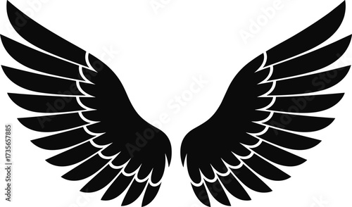 Black Silhouette of Angel Wings Spread Open bird feather