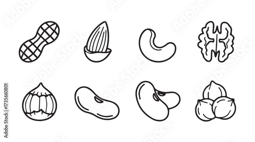 Hand drawn sketch style assorted nuts collection healthy food ingredients for your design projects vector