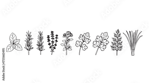 Collection of delicate hand-drawn botanical elements and flowers artistically sketched vector