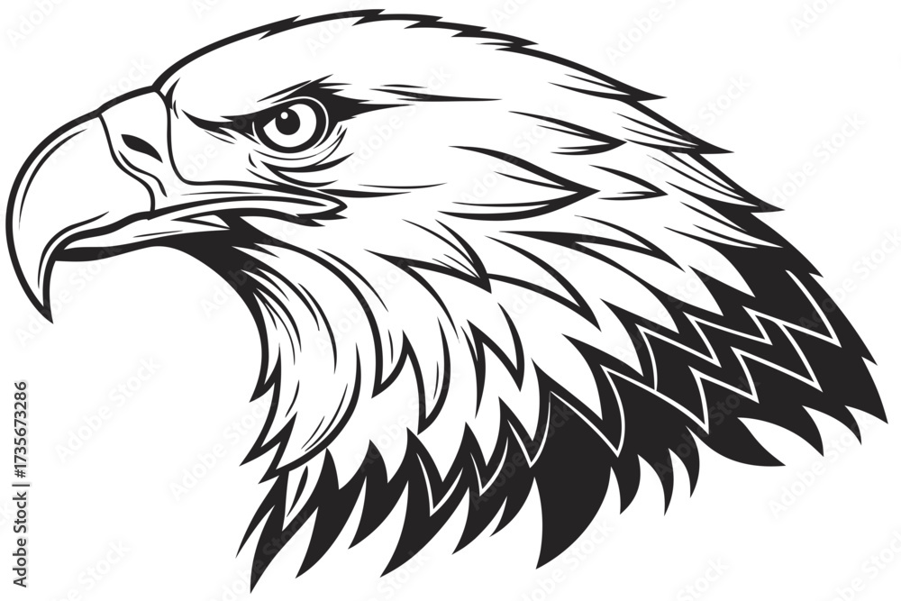 Fototapeta premium american bald eagle