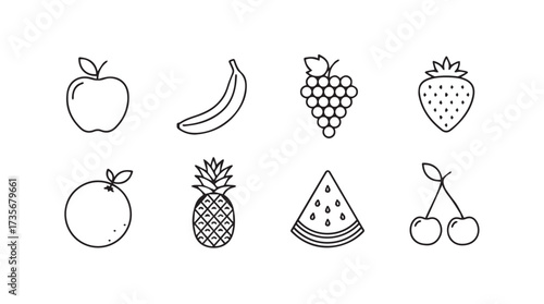 Hand drawn sketch collection of fresh fruits isolated on for design projects vector