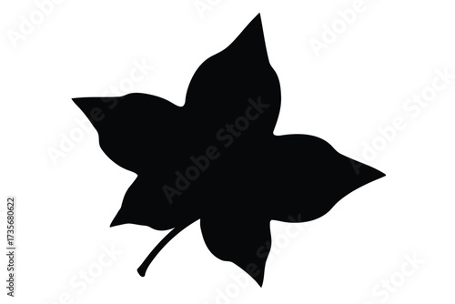 Ivy Leaf Silhouette | Nature Plant Outline | Minimal Leaf Vector