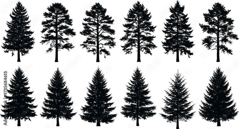 Fototapeta premium Conifer tree silhouettes, botanical pine icons, forest shape variations, stylized evergreen trees, nature clipart set, vector tree graphics, design elements