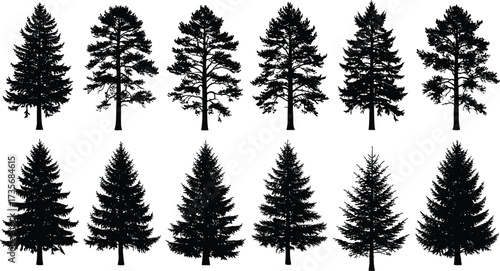 Conifer tree silhouettes, botanical pine icons, forest shape variations, stylized evergreen trees, nature clipart set, vector tree graphics, design elements