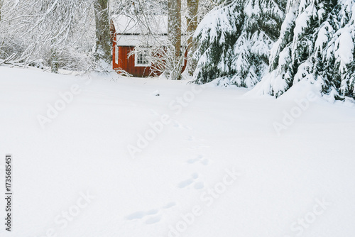 Red playhouse and hare tracks in snow
