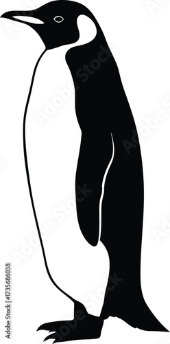 Elegant emperor penguin standing tall isolated against white canvas silhouette