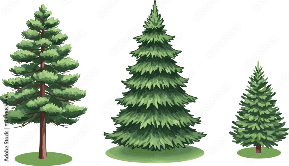 Obraz premium Coniferous tree silhouette set, pine tree comparison, forest elements, black outline, nature design, botanical shapes, vector illustration, evergreen trees