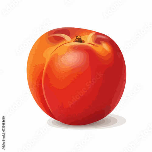 Realistic Style Detailed Peach Fruit Single Object Healthy Food Illustration