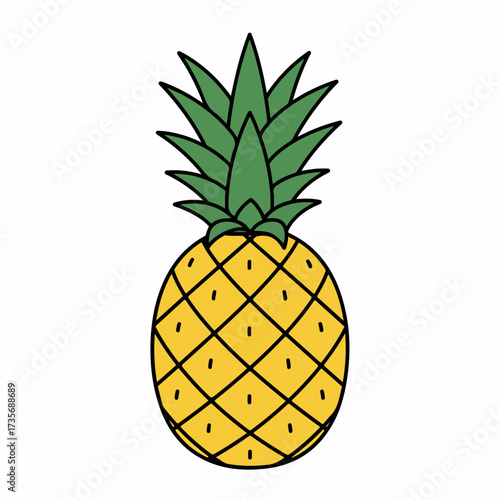Simple Hand Drawn Style Pineapple Fresh Tropical Fruit Illustration