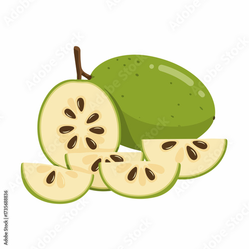 Flat Design Tropical Custard Apple Illustration Fresh Healthy Fruit
