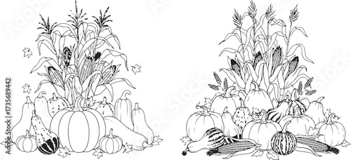 Detailed Black and White Line Art Illustration of an Autumn Harvest Display