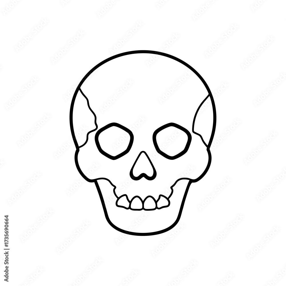 Fototapeta premium Outline drawing of a skull