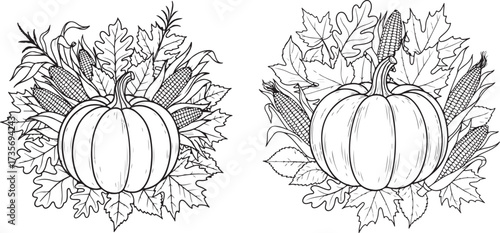 Line Art Illustration of Autumn Harvest Elements with Pumpkin, Corn, and Leaves