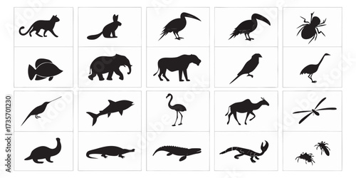 Create a collection of minimalistic black animal silhouettes in a clean, icon-style format. Each silhouette should clearly represent a different animal species — including mammals, birds, reptiles, in