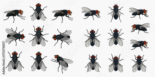 Illustration of multiple flies in various poses on a transparent background.